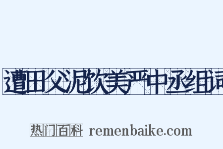 遭田父泥饮美严中丞组词是什么意思的图片
